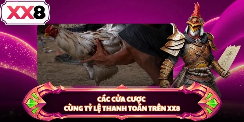 Các cửa cược cùng tỷ lệ thanh toán trên XX8