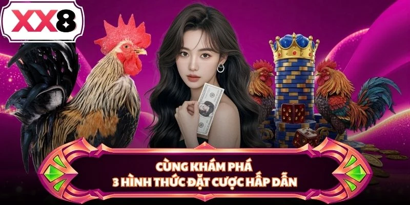 Cùng khám phá 3 hình thức đặt cược hấp dẫn
